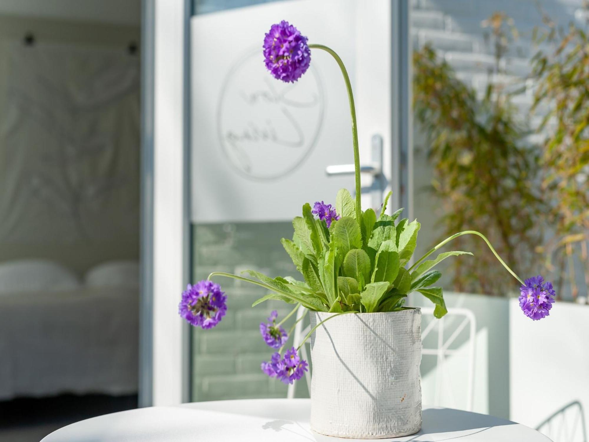 Pleasaing Holiday Home In Oostkapelle Near Centre Eksteriør bilde